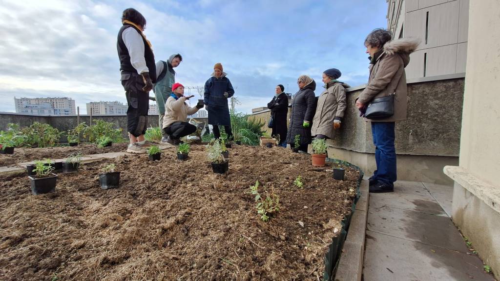 Des vivaces pour les&nbsp;terrasses!
